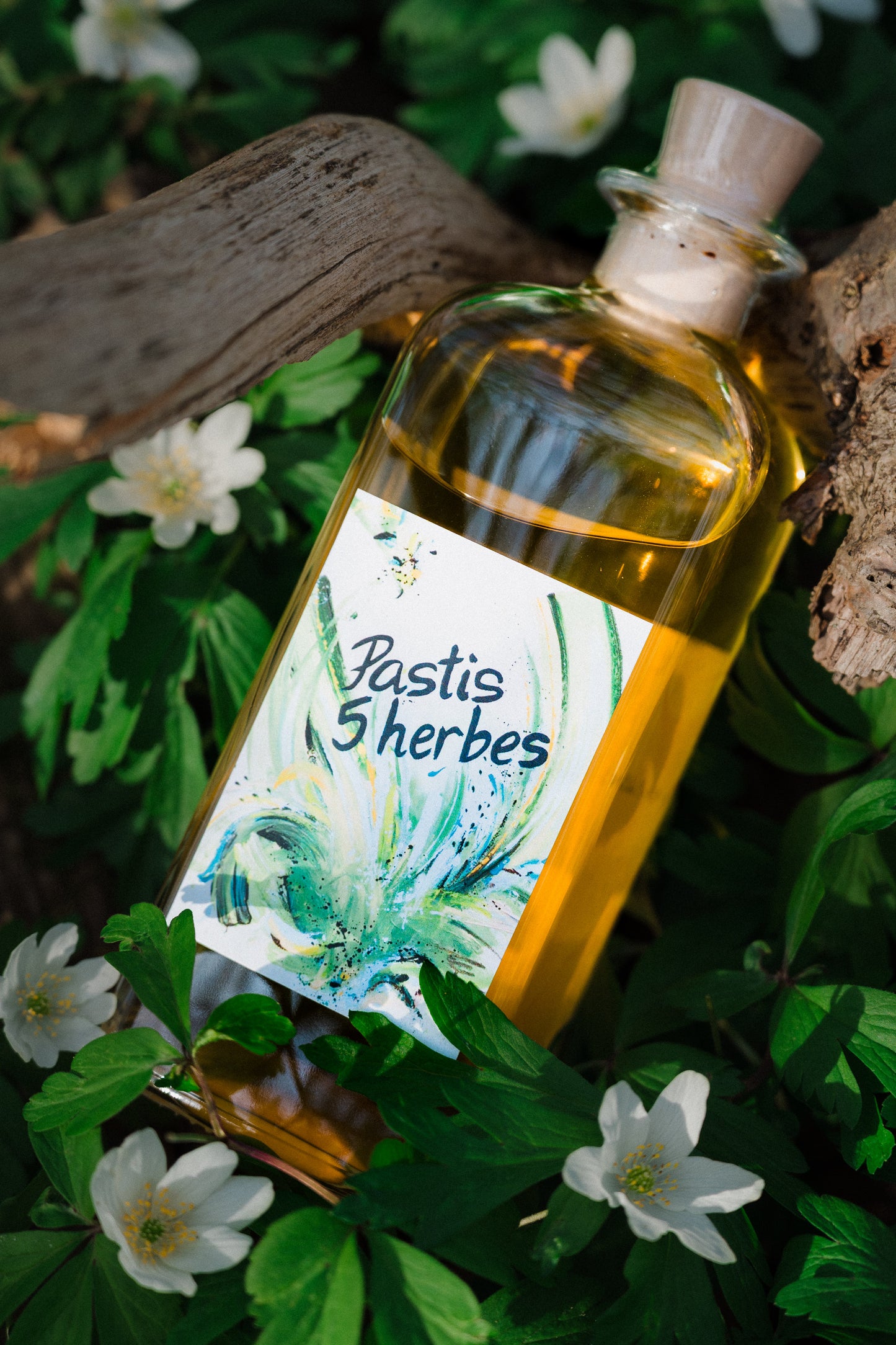 Pastis 5 Herbes
