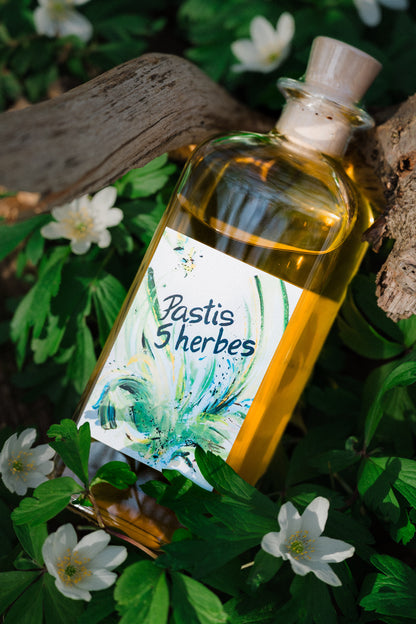 Pastis 5 Herbes